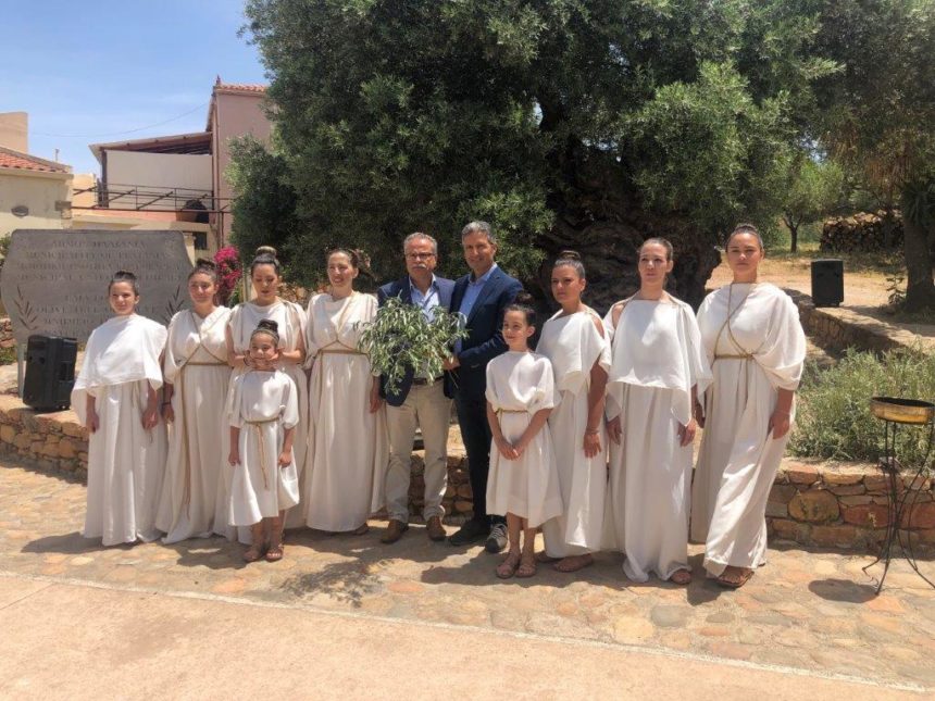 ==IMG_6829 Τελετή κοπής κότινου, από την Αρχαία Ελιά Βουβων , για τους 10ους Διεθνείς Αγώνες Ψηλορείτη Psiloritis Race