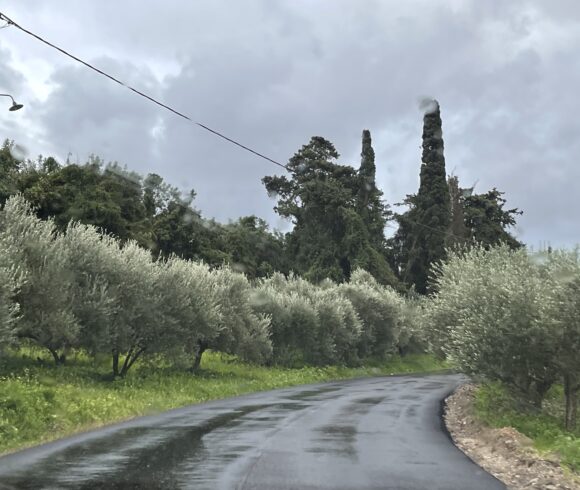 Ασφαλτόστρωση σε υποδομές Οδοποιίας, στην Κοινότητα Μοδίου, στην ΔΕ Πλατανιά του Δήμου Πλατανιά Ασφαλτόστρωση σε υποδομές Οδοποιίας, στην Κοινότητα Μοδίου, στην ΔΕ Πλατανιά του Δήμου Πλατανιά
