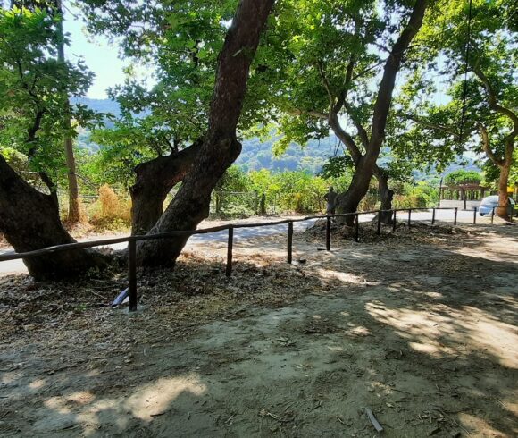 Αποκατάσταση και ανάδειξη  δημοτικού πάρκου Δρακιανών Δήμου Πλατανιά